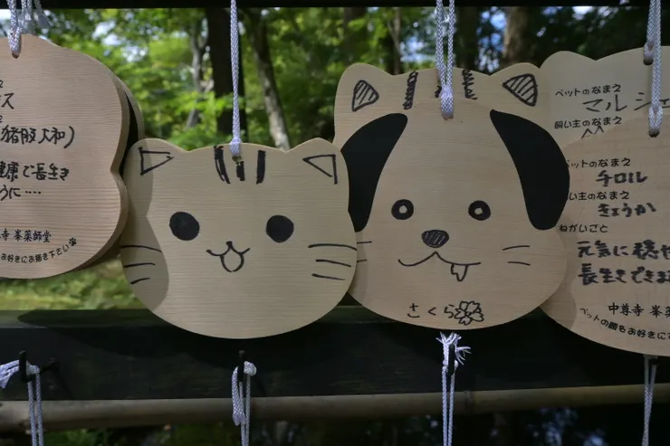 貓狗造型的繪馬/攝影:NANA濕婦