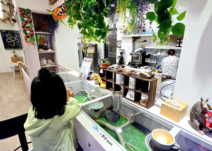 咖啡廳內吧台區座位