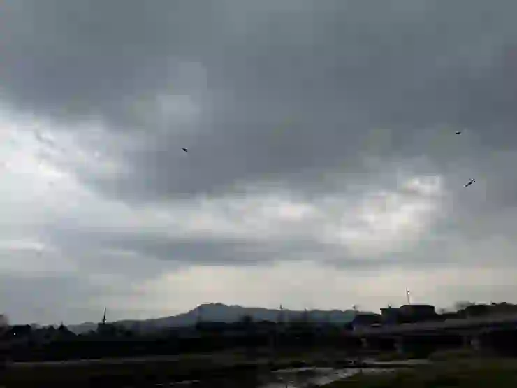 鴨川橋下, 烏雲密布, 天上有許多 隼 之類的鳥類在低飛