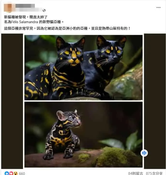 臉書流傳擷圖，臺灣事實查核中心提供