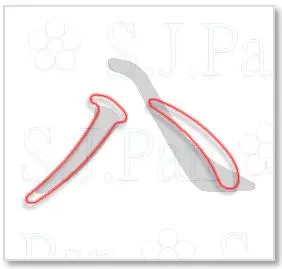 片假名「ハ」的字源是「八」。