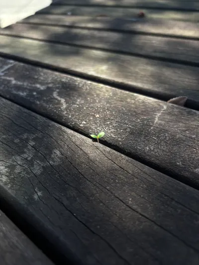 舒服的午休時光