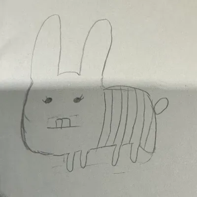 困在鳥籠的野豬