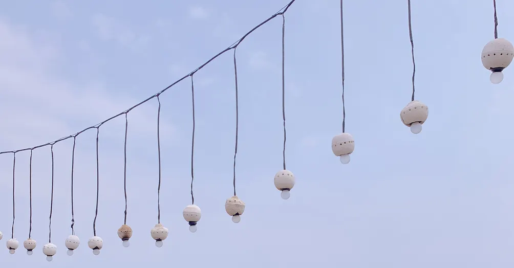 艾蜜莉麗小天地