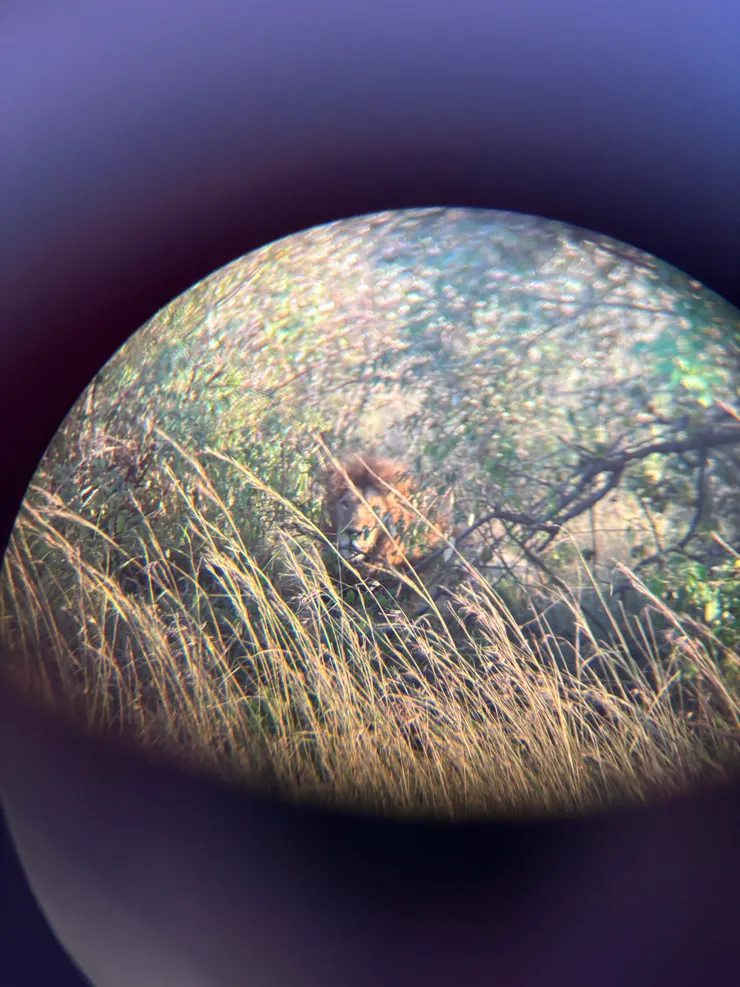 雙鏡頭+望遠鏡~讓你看到遠遠在草叢裡的獅子!!!