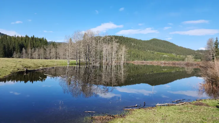 圖片攝於加拿大