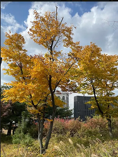 首爾南山白凡廣場