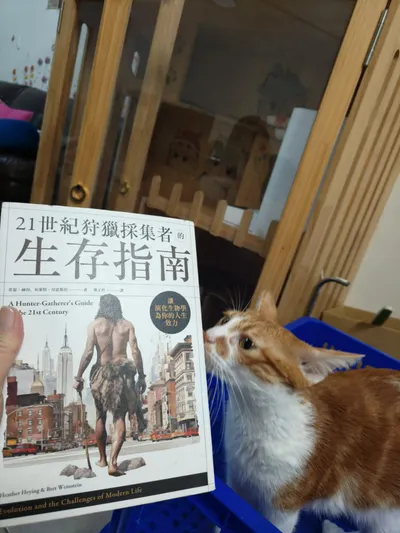 【閒聊】讀寫時間的取捨