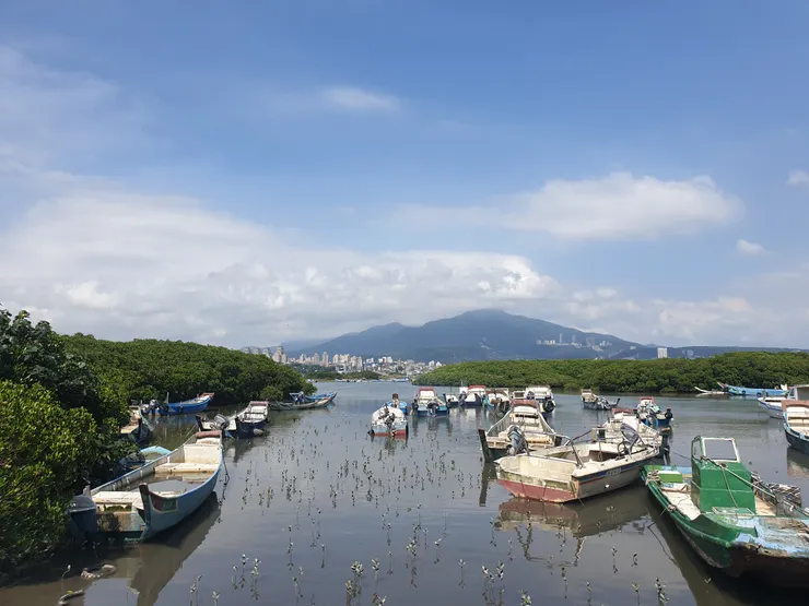 濕地生態