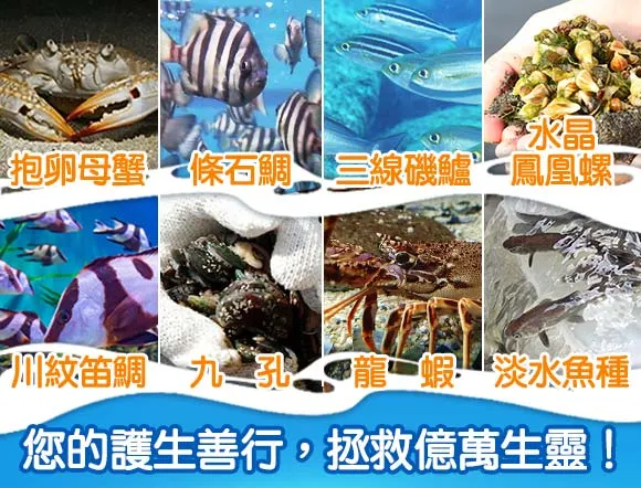 您的護生善行,拯救億萬生靈