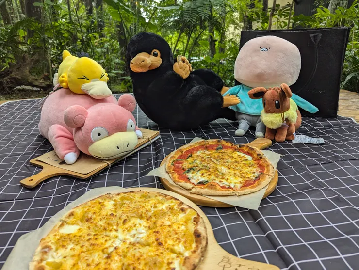 帶了很多小夥伴一起來野餐