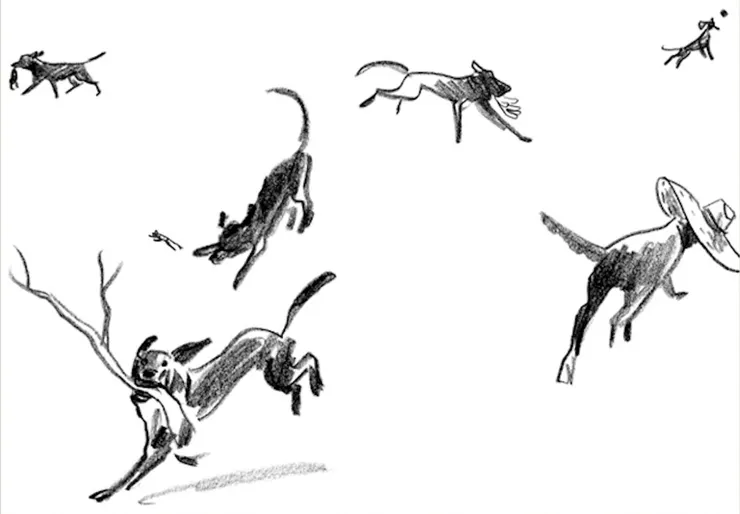 圖11小江是主人家快樂的毛小孩。