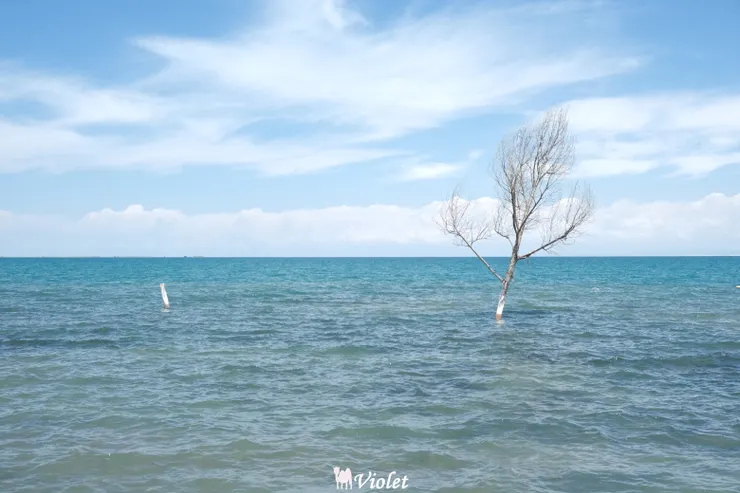 西寧 青海湖 二郎劍景區