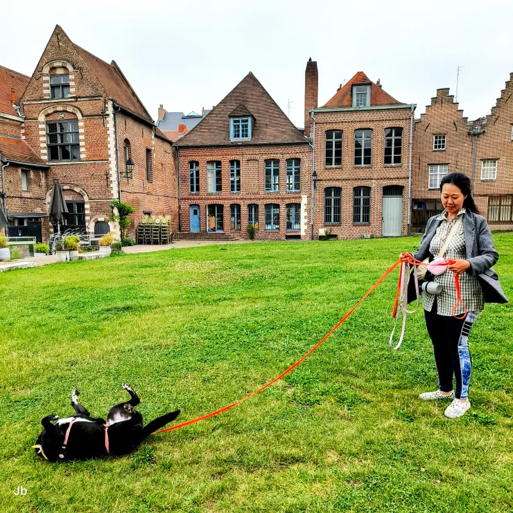 【聖母大教堂附近的 le petit barbue' 餐廳，在 Peuple Belge 大道旁，遛狗的好地方。】