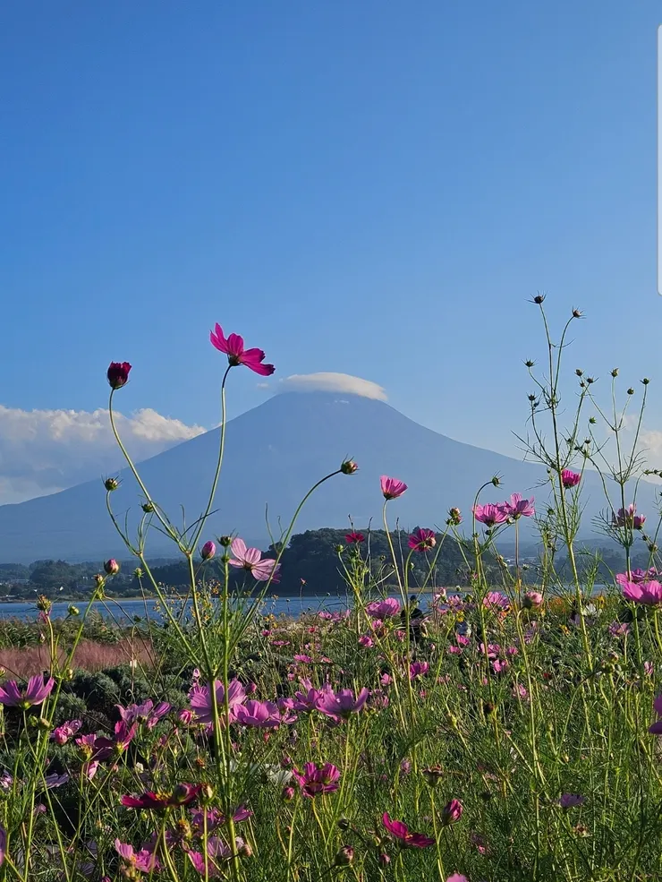先來一張夏天的富士山,依舊很美