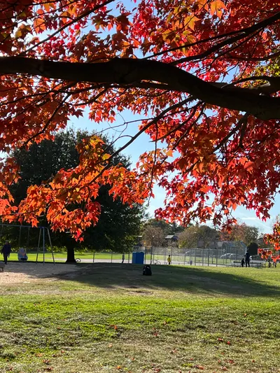 加拿大秋季隨手拍