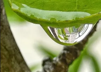 笑看小說別當真--練習簿