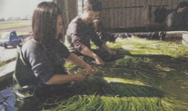 「人」也是風土很重要的一環（截自《風土經濟學》）