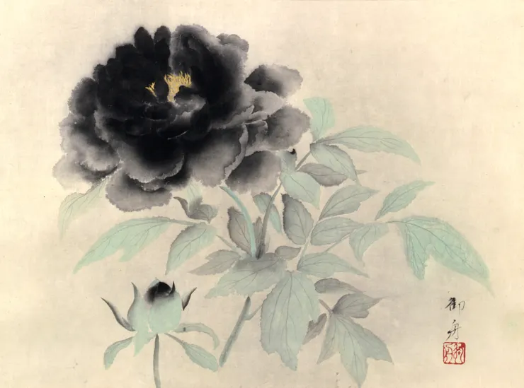 取自山種美術館官網 速水御舟《墨牡丹》