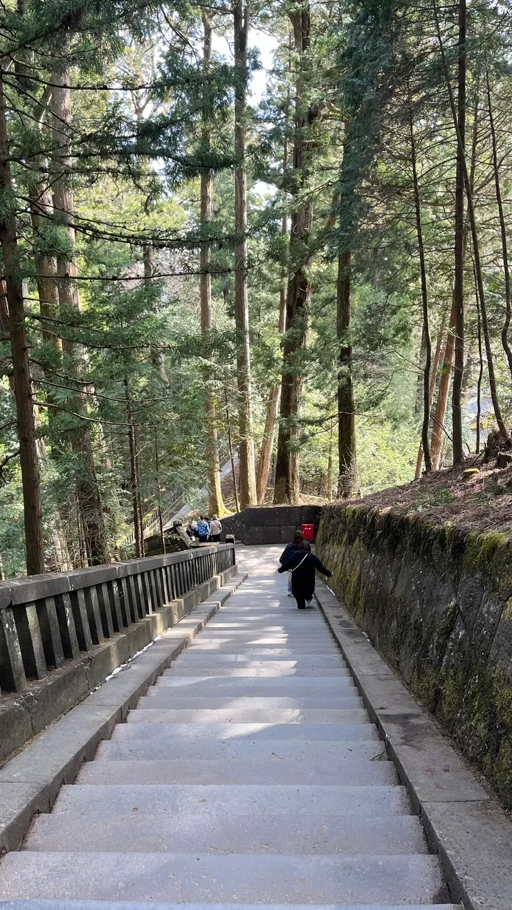 階梯很寬,還算好走。