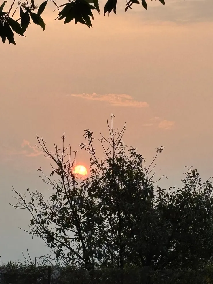 潛意識去除恐懼?