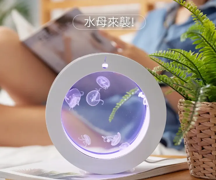 海洋空間的照片,底下有放入連結! 可以簡單飼養水母