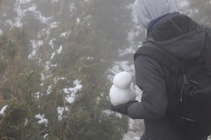 被隨身攜帶的雪人