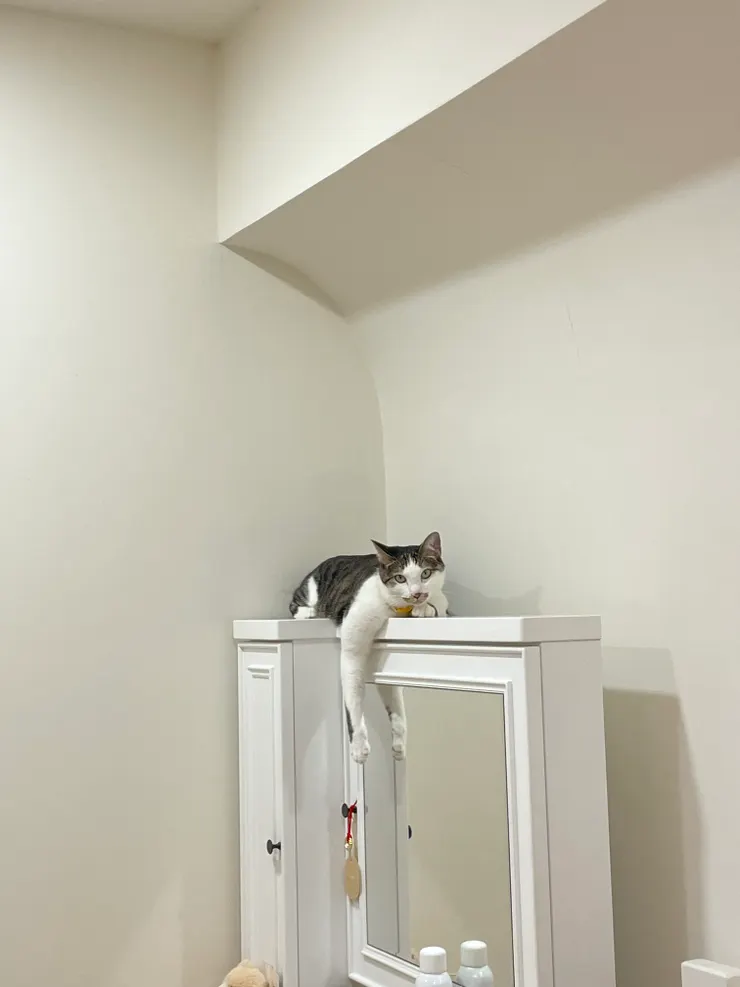 冰冰：「蛤，在說我嗎？」