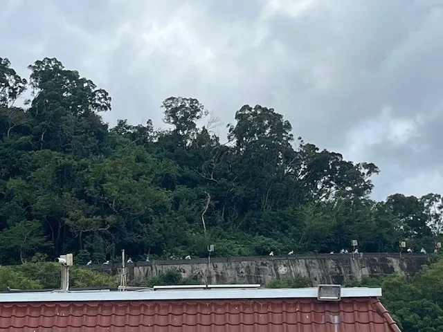 爬坡(圖中的小點點都是自行車)