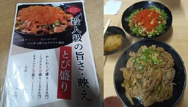 燒肉丼並 800円：5顆星(一定要吃)  /  大量飛魚卵燒肉丼1200円：5顆星(一定要吃)
