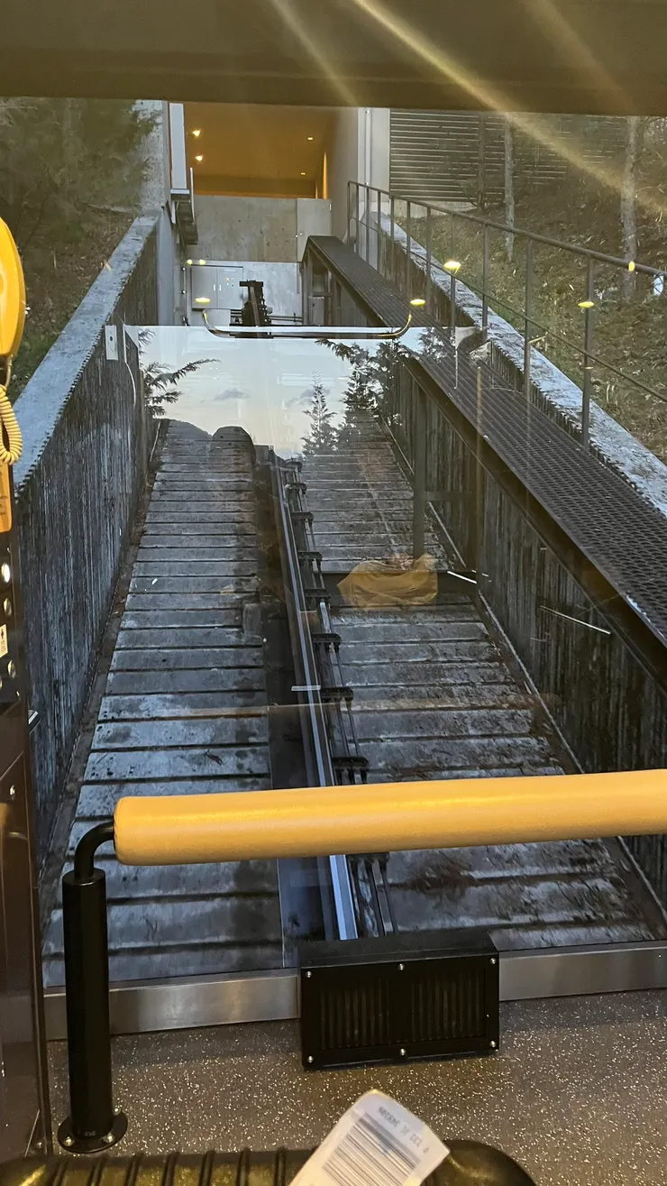 越搭越覺得像秘境。