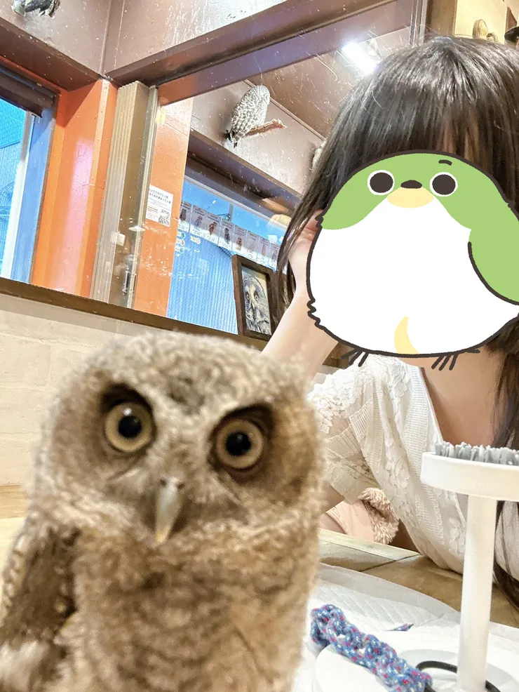 你知不知道你豪可愛//////