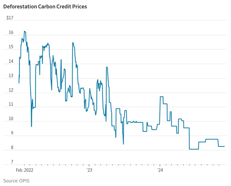防止森林砍伐類型碳權價格走勢