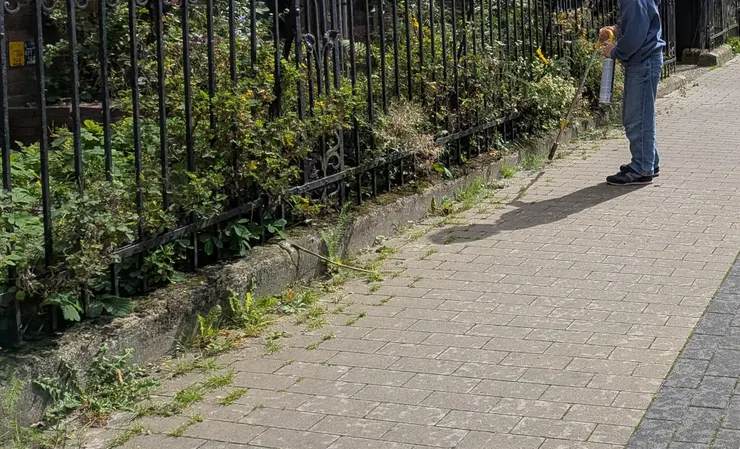 Photo: Zora @ Uelzen, Germany. Aug 2, 2025.