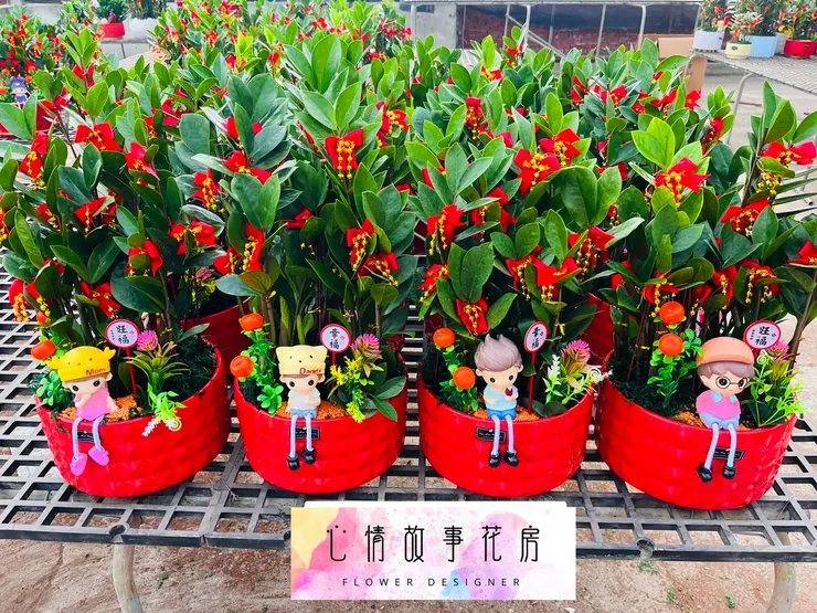 心情故事花房開工大吉！感謝支持，訂單滿滿，服務更升級！