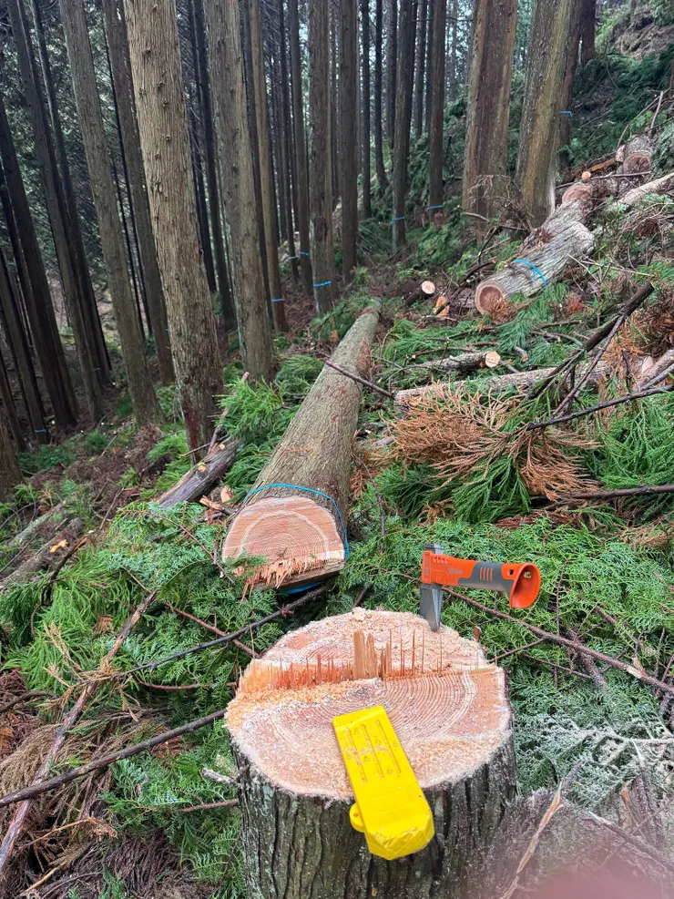 充滿挑戰的工作過程