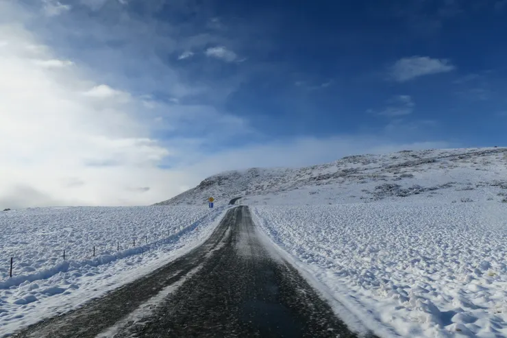 北返的旅途開始後,就突然變成雪白的"南國"景觀