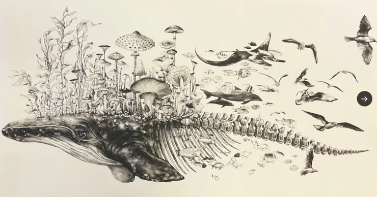 這張圖來自一位僅16歲北京女孩的作品，實在太美了。