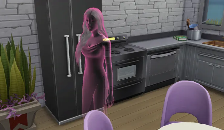 上次說到芊芊已經換一種方式存在...