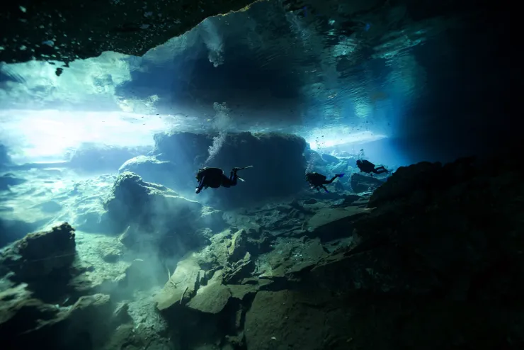 厲害的洞潛照片！