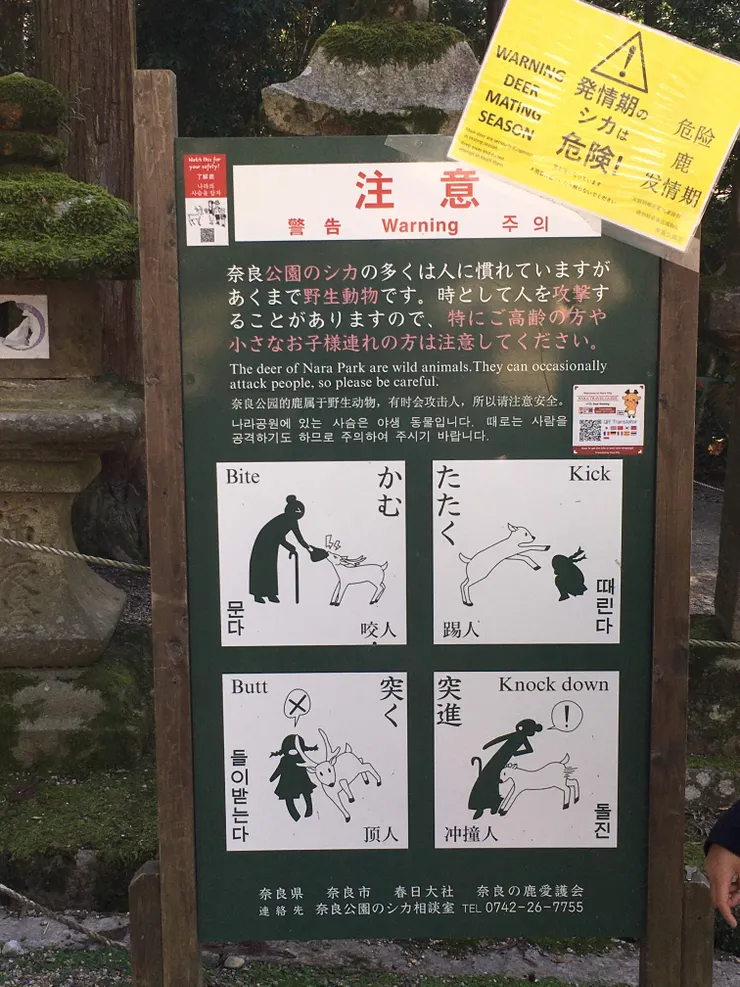 在9至11月，是鹿的發情期，園方在右上角貼心加上醒目告示（作者拍攝）