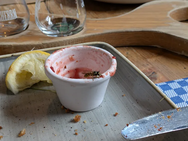 Photo: Zora @ Hamburg, Germany. Jul 31, 2025.