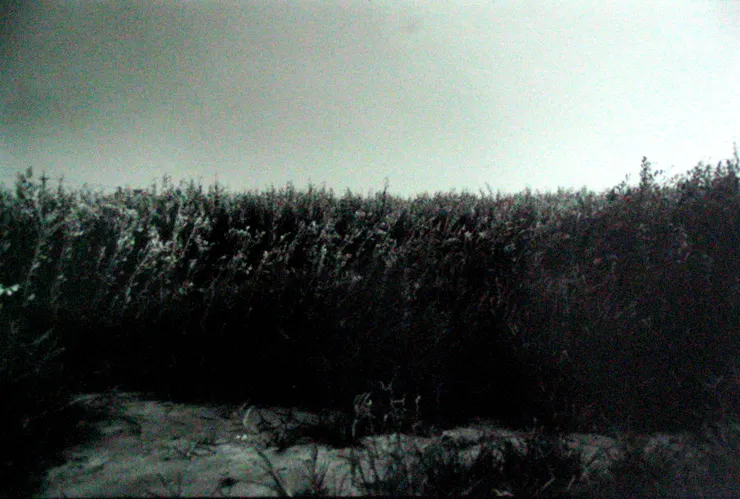 田菁的黑白攝影，這是用手機翻拍的作品