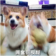 模糊才能體現興奮的程度