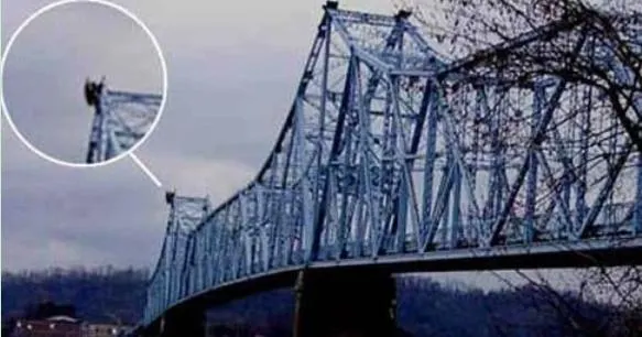 不少人聲稱曾親眼目睹『天蛾人』。