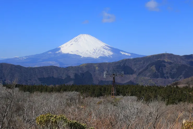 遠眺富士山