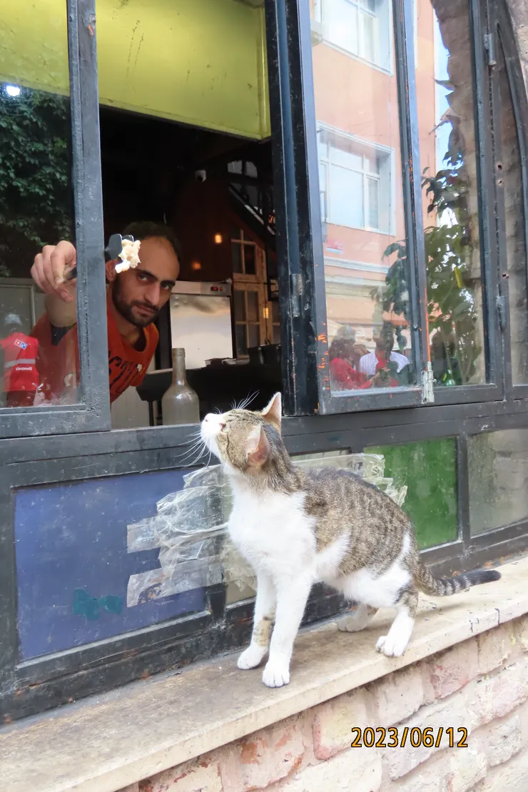 圖十七: 廚師總算送上食物。