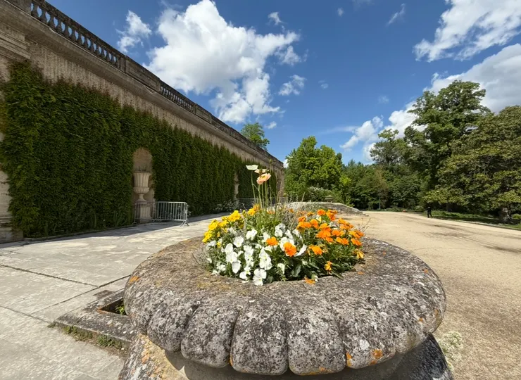 花園裏的每個角落都意外的美麗
