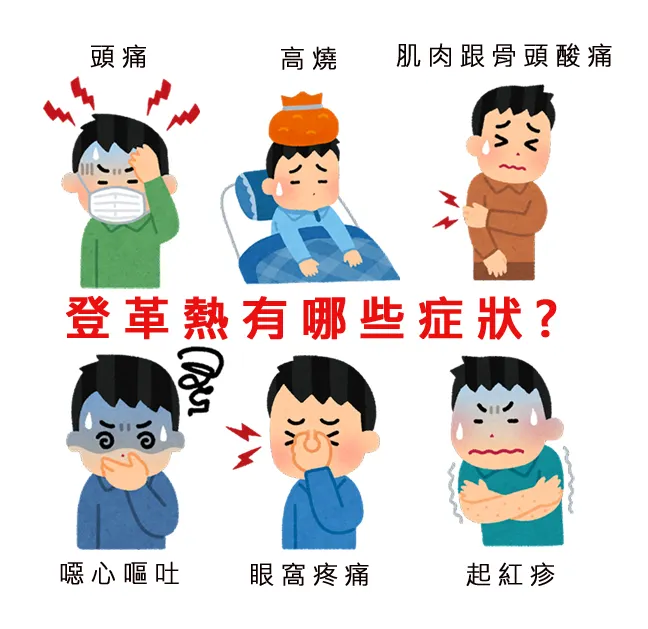 登革熱會有哪些症狀