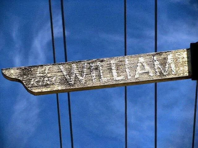 策略為核，風格為翼 - 不聊成功案例的 潘偉亷顧問